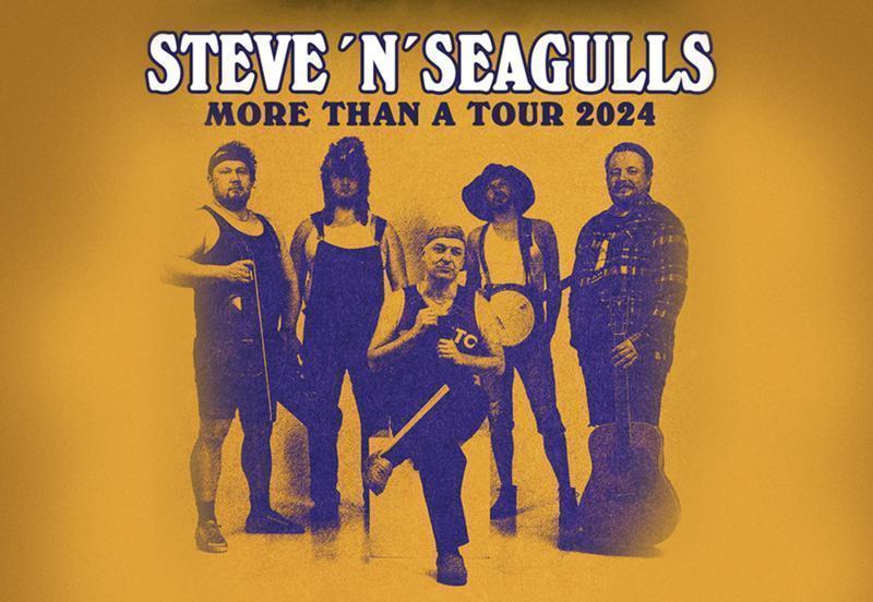 Steve 'n' Seagulls Konzert Berlin